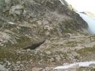 Laquet de Peyregnet de Cambalès