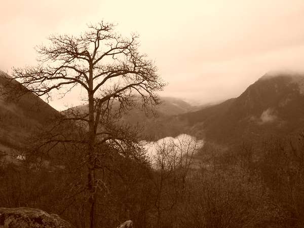 Vallée d'Estaing