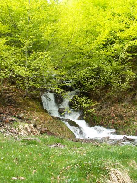 Ruisseau d'Aumède