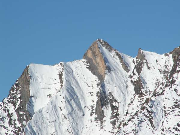 Pènes blanques