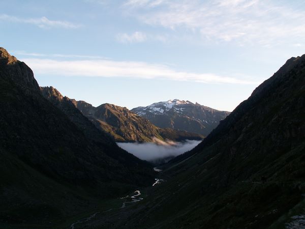 Le labassa